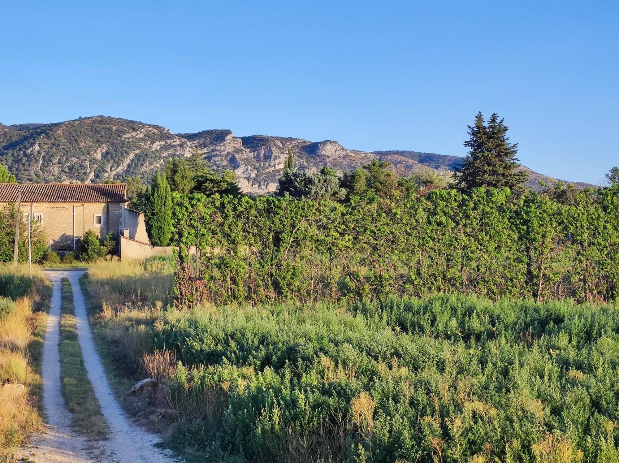 3 Personnes Avec Salle De Bain Dans Mas Du Luberon *